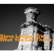What You Can Throw  LANTNER STEVE
