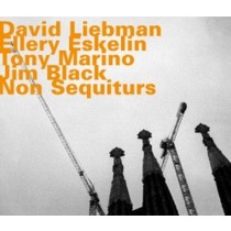 Non Sequiturs  LIEBMAN DAVE
