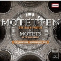 Mottetti della famiglia Bach  SCHMIDT-GADEN GERHARD Dir  