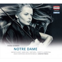 Notre Dame  SCHMIDT FRANZ