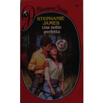 Una notte perfetta