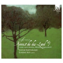 Kennst du das Land? - Lieder su testi di Goethe, Eichendorff, Mörike  WOLF HUGO