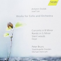 Elegia sotto l’impressione del Vysehrad di Zeyer op.23  SUK JOSEF