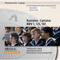 Cantate BWV 1, 125, 147, Vol.9  BACH JOHANN SEBASTIAN