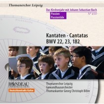 Cantate per la Passione - un anno liturgico con Johann Sebastian Bach  BACH JOHANN SEBASTIAN