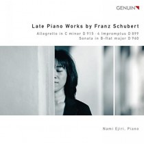 Sonata per pianoforte D 960, 4 Improvvisi D 899, Allegretto D 915  SCHUBERT FRANZ