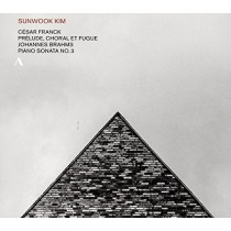 Sonata per pianoforte n.3 op.5  BRAHMS JOHANNES