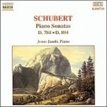 Sonata D 784 (op.post.), op.78 D 894  SCHUBERT FRANZ