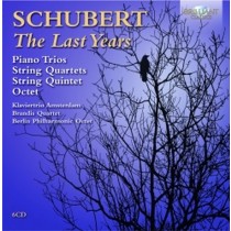 The last years  SCHUBERT FRANZ