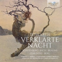 Towards Verklärte Nacht  ZAREMBA ELENA  m-sop