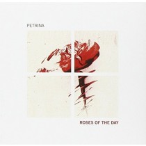 Roses of the Day  PETRINA
