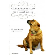 NON TI LASCERO' MAI SOLO