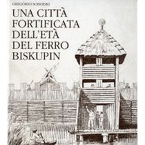 CITTA' FORTIFICATA DELL'ETA'DEL FER