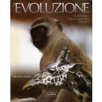 EVOLUZIONE (L') VIAGGIO DELLA MATER