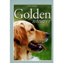GOLDEN RETRIEVER (IL)