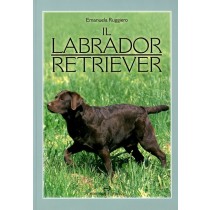 LABRADOR RETRIEVER (IL)