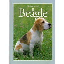 BEAGLE (IL)