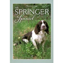 SPRINGER SPANIEL (LO)