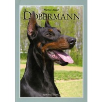 DOBERMANN (IL)