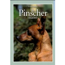 PINSCHER NANO (IL)