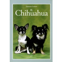 CHIHUAHUA (IL)