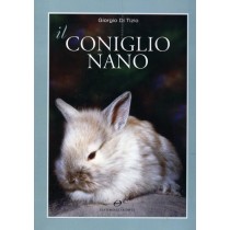 CONIGLIO NANO (IL)