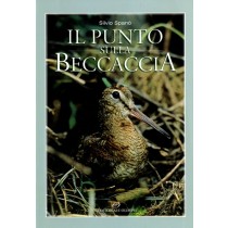PUNTO SULLA BECCACCIA (IL)
