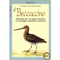 BECCACCINO (IL)
