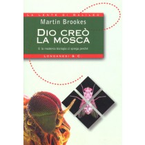 DIO CREO' LA MOSCA