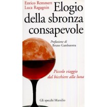 ELOGIO DELLA SBRONZA CONSAPEVOLE