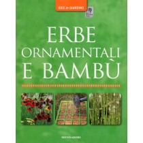 ERBE ORNAMENTALI E BAMBU'