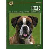 BOXER