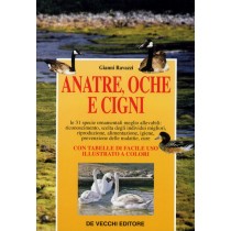 ANATRE OCHE E CIGNI