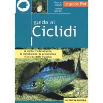 CICLIDI I