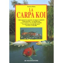 CARPA KOI (LA)
