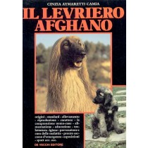 LEVRIERO AFGHANO (IL)