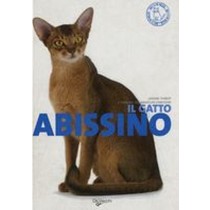 GATTO ABISSINO (IL) Thiriot Josiane