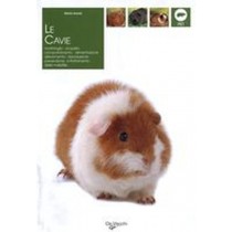 CAVIE (LE)