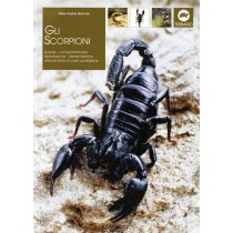 SCORPIONI (GLI)