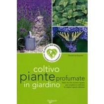 COLTIVO PIANTE PROFUMATE IN GIARDIN de Rosamel Chantal