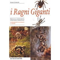 RAGNI GIGANTI (I)