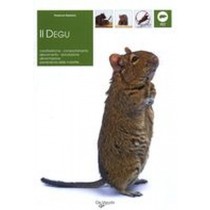 DEGU (IL)