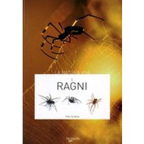 RAGNI (I) Sciama Yves