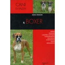 BOXER (IL)