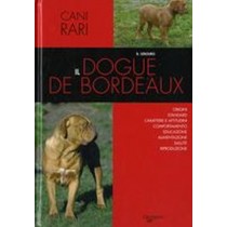 DOGUE DE BORDEAUX (IL) Lebourg Bernard