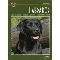 LABRADOR