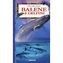 BALENE E DELFINI