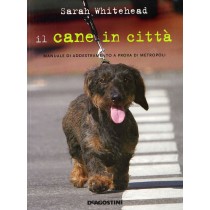 CANE IN CITTA' (IL)
