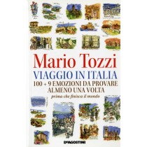 VIAGGIO IN ITALIA