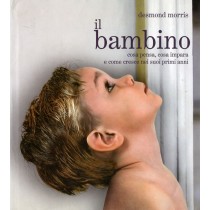 BAMBINO (IL)
